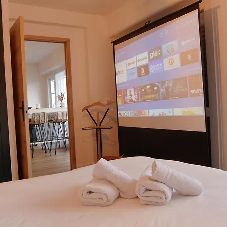 Centre Congres Et Parking Gratuit Appartement *