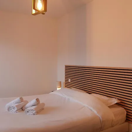 Centre Congres Et Parking Gratuit Apartment Nancy