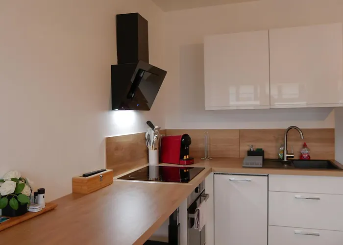 Apartment Centre Congres Et Parking Gratuit