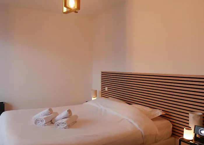 Centre Congres Et Parking Gratuit Apartment Nancy